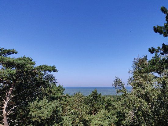 Aktywna strefa - szkoła windsurfingu